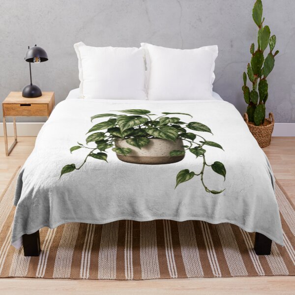 Item preview, Variegated Heartleaf Philodendron in Ceramic Pot designed and sold by MySthore.