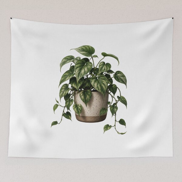 Item preview, Variegated Heartleaf Philodendron in Ceramic Pot designed and sold by MySthore.