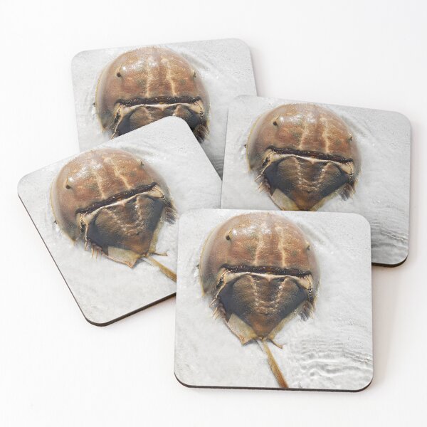 Item preview, Horseshoe Crab on the beach designed and sold by TrailsidePrints.