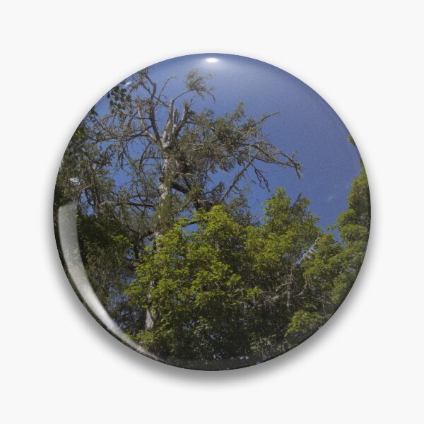 Item preview, retrowave trees in the breeze on a summer's day (dunkeld, scotland) (may 2026) designed and sold by photosbykel.