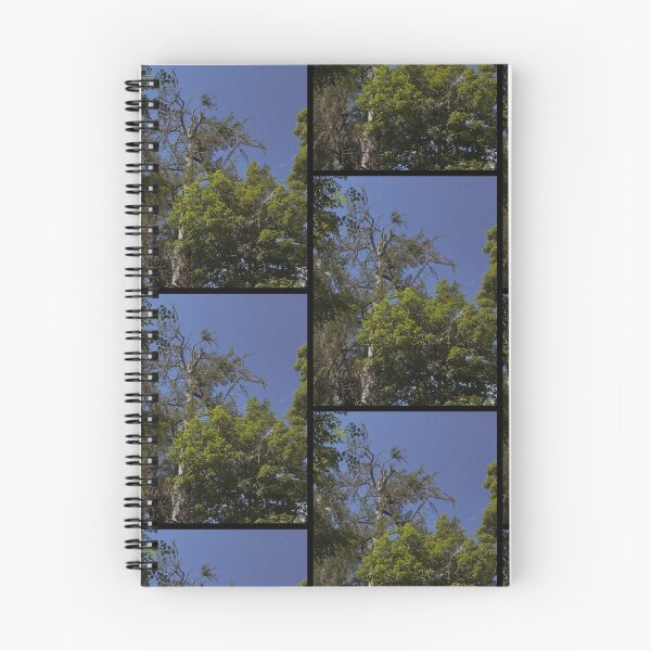 Item preview, retrowave trees in the breeze on a summer's day (dunkeld, scotland) (may 2026) designed and sold by photosbykel.