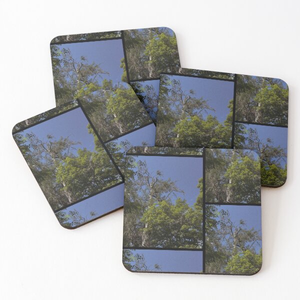 Item preview, retrowave trees in the breeze on a summer's day (dunkeld, scotland) (may 2026) designed and sold by photosbykel.