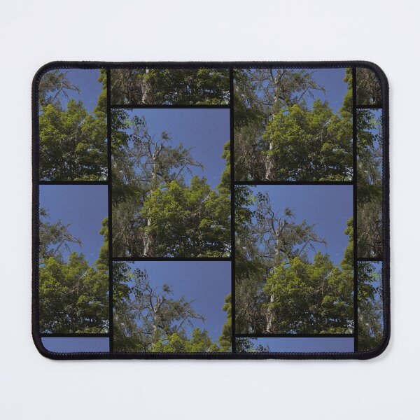 Item preview, retrowave trees in the breeze on a summer's day (dunkeld, scotland) (may 2026) designed and sold by photosbykel.