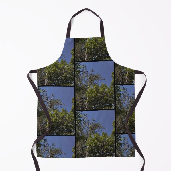 Item preview, retrowave trees in the breeze on a summer's day (dunkeld, scotland) (may 2026) designed and sold by photosbykel.