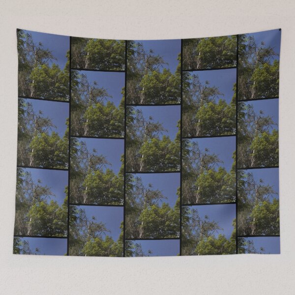 Item preview, retrowave trees in the breeze on a summer's day (dunkeld, scotland) (may 2026) designed and sold by photosbykel.