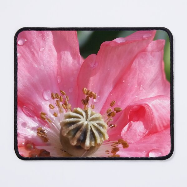Item preview, Pink Poppy Closeup designed and sold by CalmnessbyChoice.