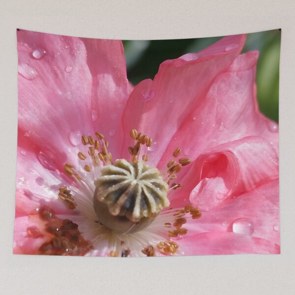 Item preview, Pink Poppy Closeup designed and sold by CalmnessbyChoice.