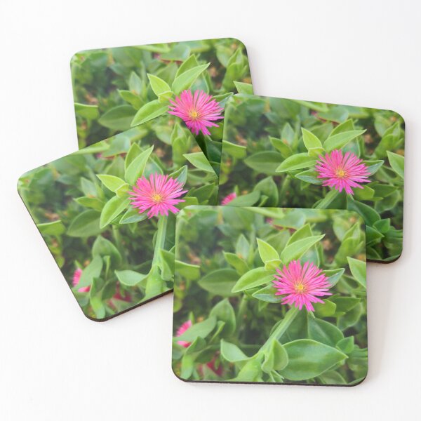 Item preview, Bright Pink Aptenia Flower on Green Succulent Leaves designed and sold by Yanshuf.