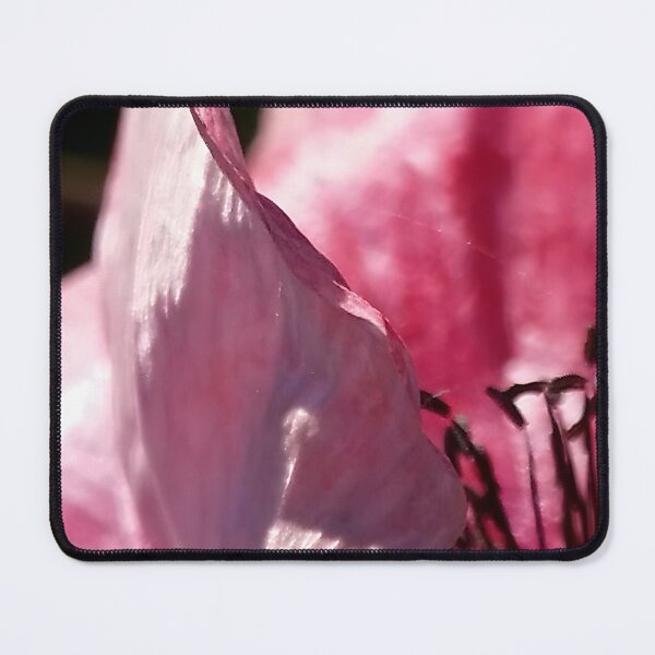 Item preview, Pink Flower Closeup designed and sold by CalmnessbyChoice.