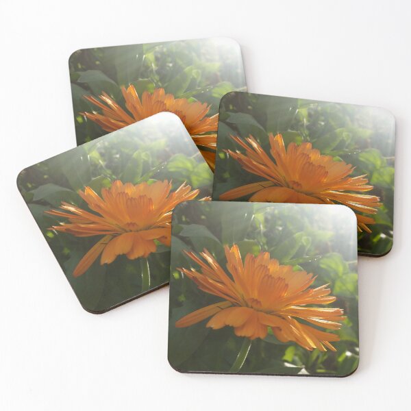 Item preview, Calendula Flowers in Sunlight designed and sold by CalmnessbyChoice.