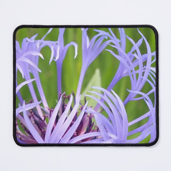Item preview, Purple Flower on Green Grass designed and sold by CalmnessbyChoice.