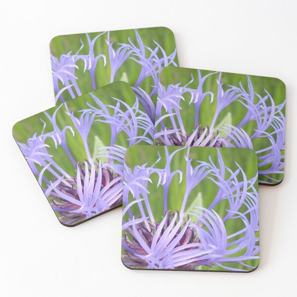Item preview, Purple Flower on Green Grass designed and sold by CalmnessbyChoice.