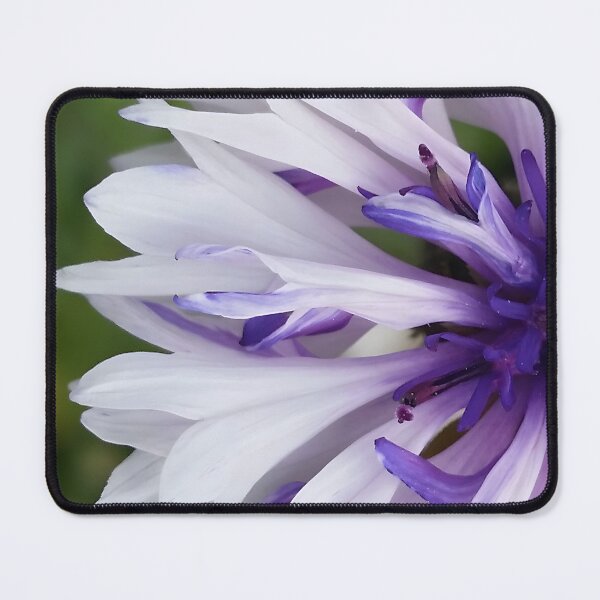Item preview, Closeup of White Flower designed and sold by CalmnessbyChoice.