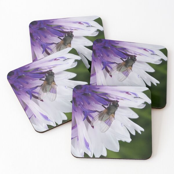 Item preview, Fly on Flower designed and sold by CalmnessbyChoice.