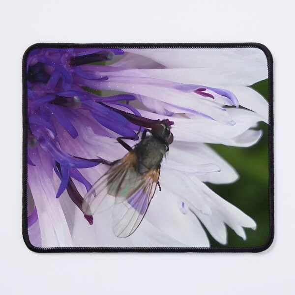 Item preview, Fly on Flower designed and sold by CalmnessbyChoice.