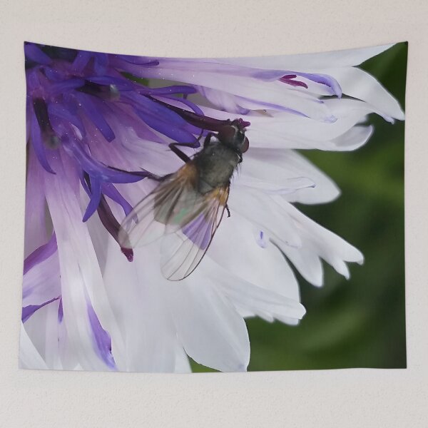Item preview, Fly on Flower designed and sold by CalmnessbyChoice.