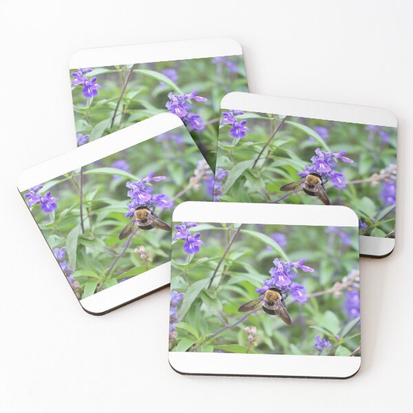 Item preview, Bumble Bee on Purple Flower designed and sold by Nicole Navaroli Photography.