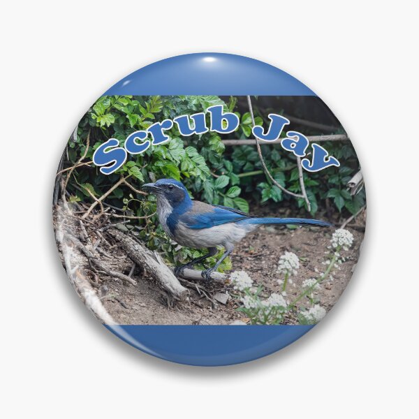 Item preview, Scrub Jay designed and sold by CarolM.
