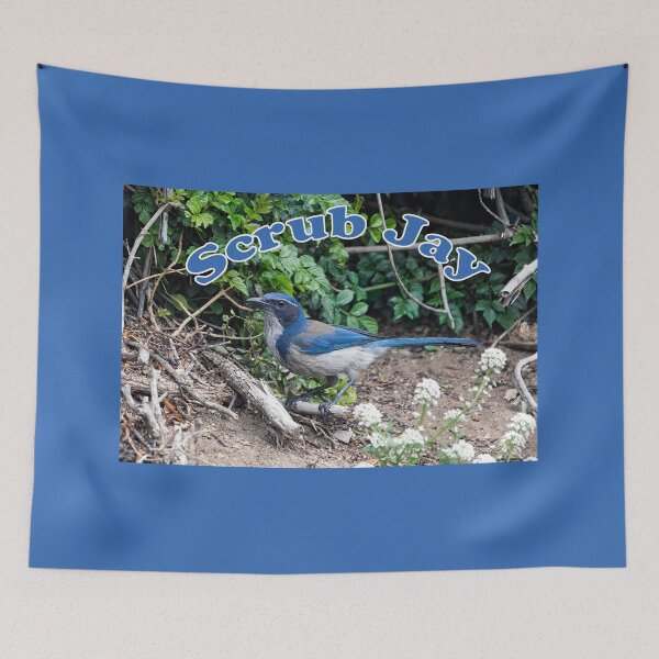 Item preview, Scrub Jay designed and sold by CarolM.