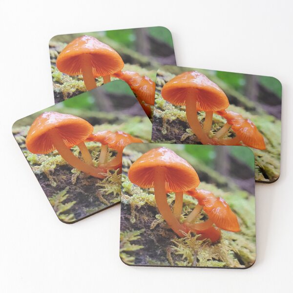 Item preview, Orange Mushroom on a Log designed and sold by TrailsidePrints.