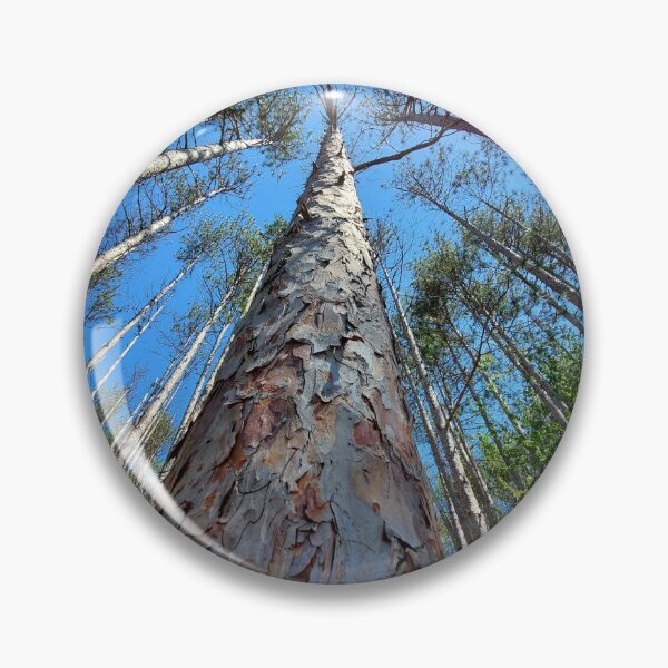 Item preview, Pine Forest designed and sold by TrailsidePrints.