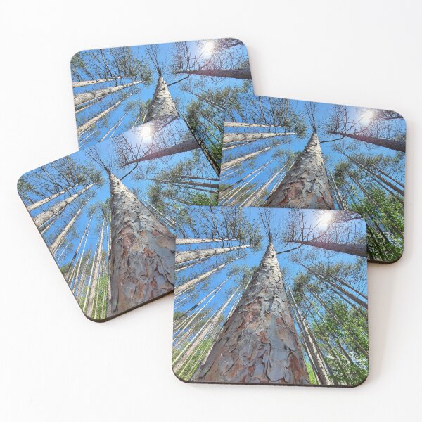 Item preview, Pine Forest designed and sold by TrailsidePrints.