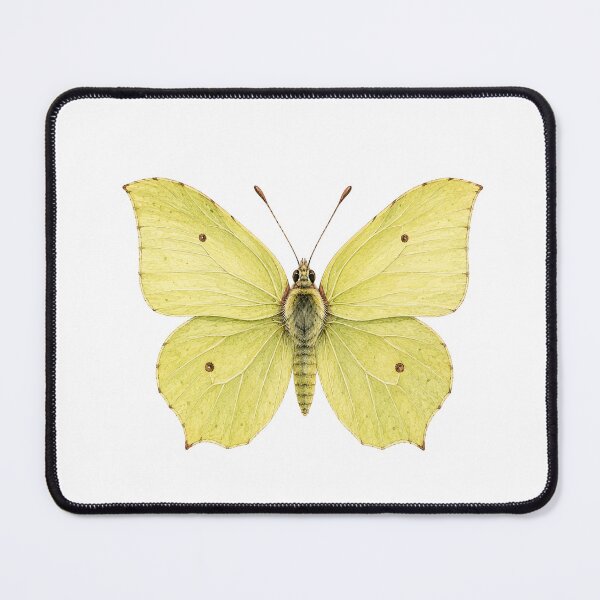 Item preview, Vintage Watercolor Brimstone Butterfly | Botanical Butterfly Illustration designed and sold by Ethereal-Rain.