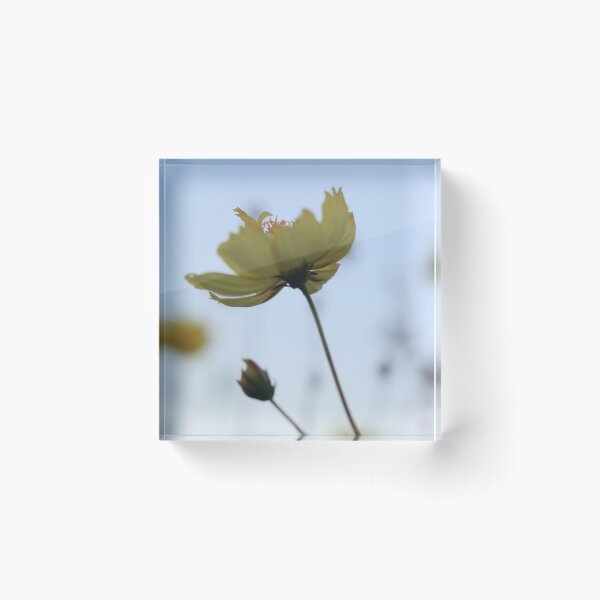 Item preview, Flower Growing to the Sky designed and sold by Geoff Treagus.