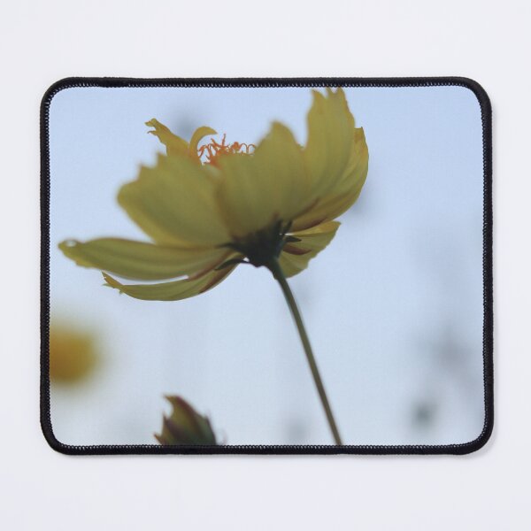 Item preview, Flower Growing to the Sky designed and sold by Geoff Treagus.