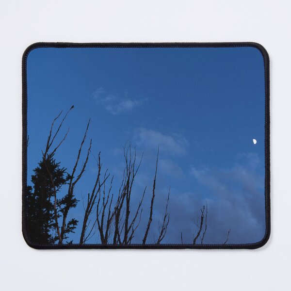 Item preview, Bird in treetop against evening sky with half moon designed and sold by lisavonbiela.