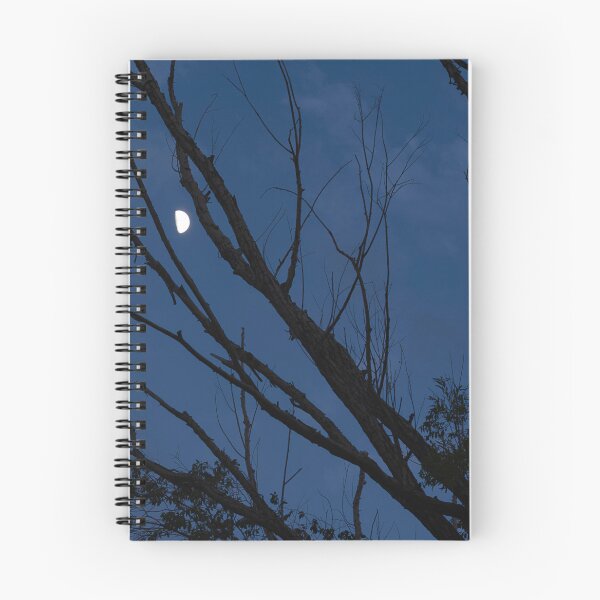 Item preview, Moon framed between tree branches in twilight designed and sold by lisavonbiela.