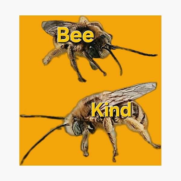 Item preview, bee kind designed and sold by gracehopelove.