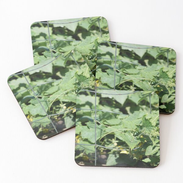Item preview, cucumber tendrils designed and sold by distracted.