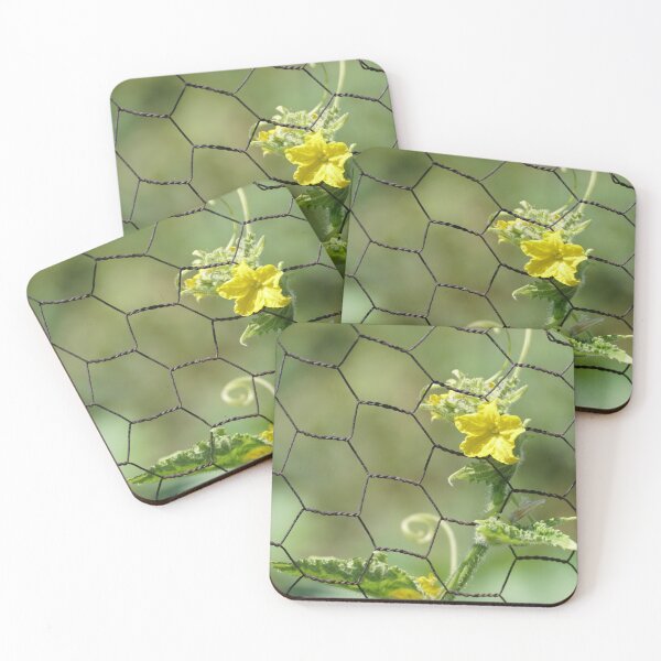Item preview, cucumber blossom designed and sold by distracted.