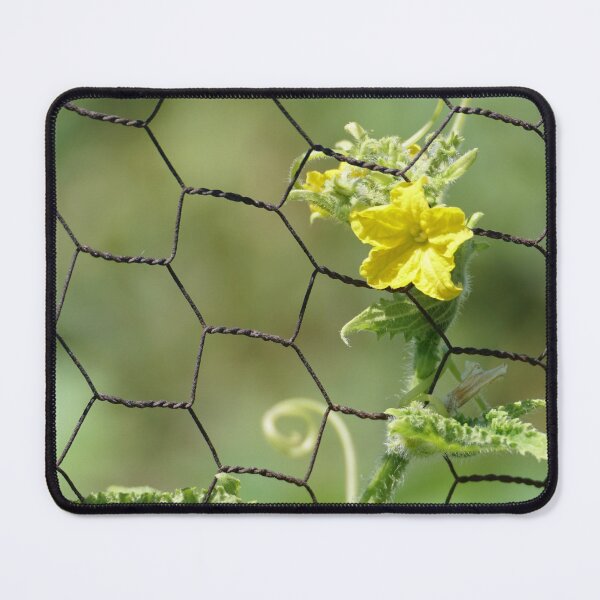 Item preview, cucumber blossom designed and sold by distracted.