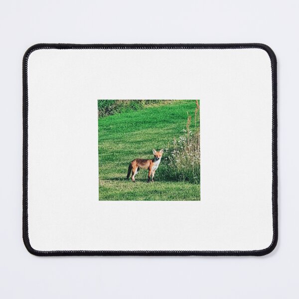 Item preview, fox designed and sold by Kasia1987t.