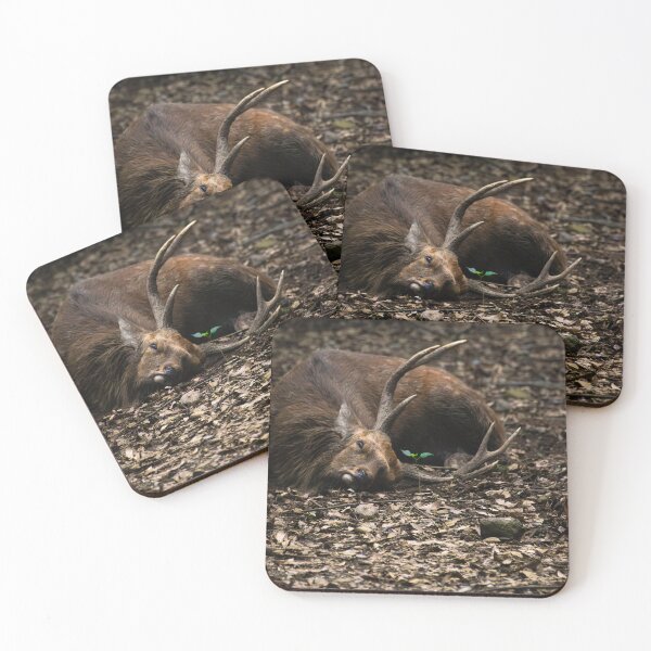 Item preview, Nara Deer - Japan - 2 designed and sold by NevalyArt.