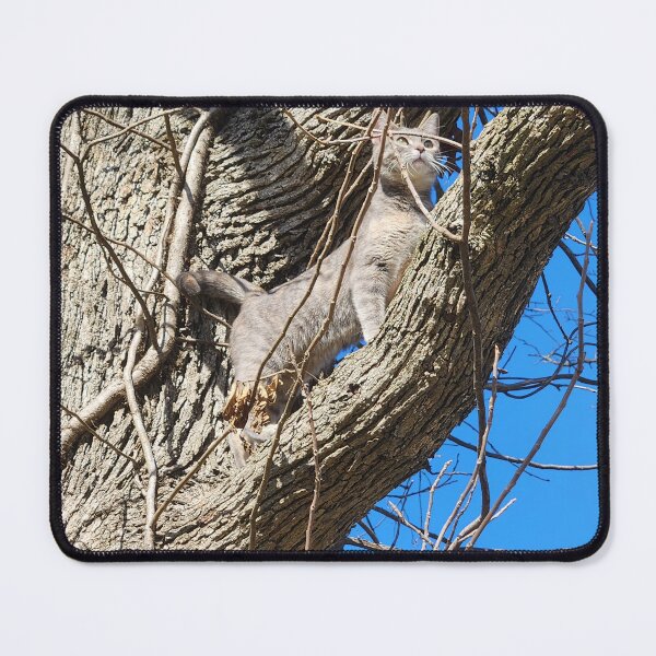 Item preview, Liberty Cat in a Tree  designed and sold by NetteMarieTRS.