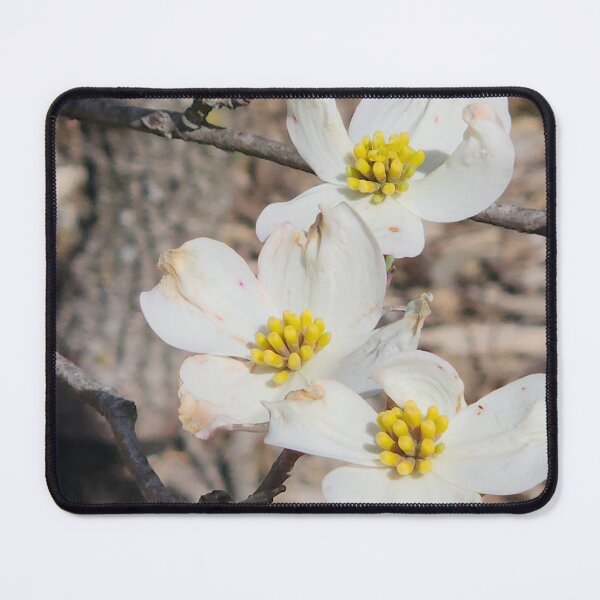 Item preview, Dogwood Blossoms designed and sold by NetteMarieTRS.