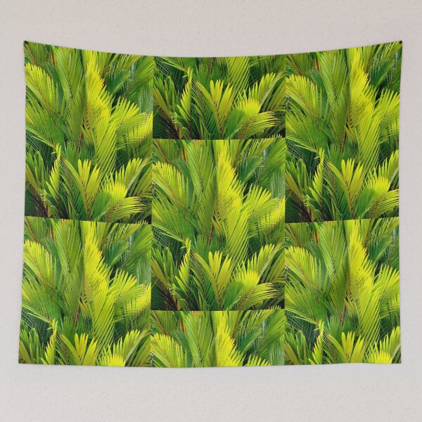 Item preview, Ferns from Port Douglas, Australia designed and sold by Anthony Macaluso.