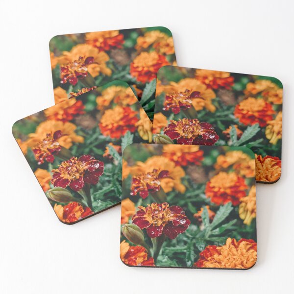 Item preview, Raindrops on Marigolds designed and sold by Shutterbird Robyn Joyce Photography.