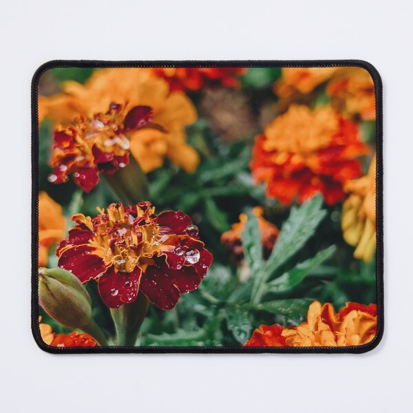 Item preview, Raindrops on Marigolds designed and sold by Shutterbird Robyn Joyce Photography.