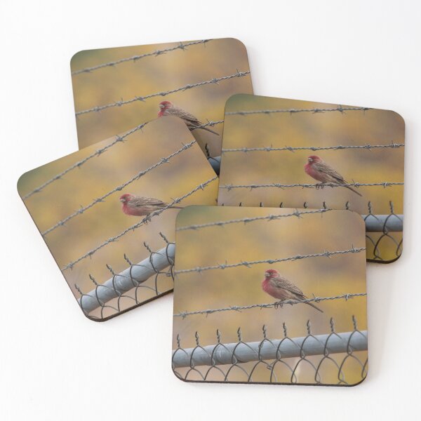 Item preview, Woodland Neighborhood Band dSparrow Charm designed and sold by dishcutnes.