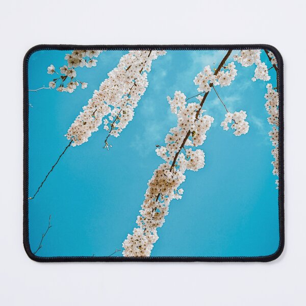 Item preview, White cherry blossoms in the blue sky  designed and sold by Shutterbird Robyn Joyce Photography.