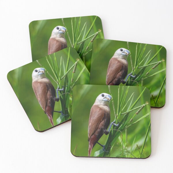 Item preview, Seagull Neighborhood Band cCoastal Breeze designed and sold by dishcutnes.