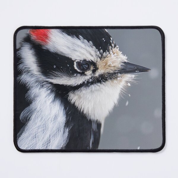 Item preview, Raven Neighborhood Band bMidnight Mystery designed and sold by dishcutnes.