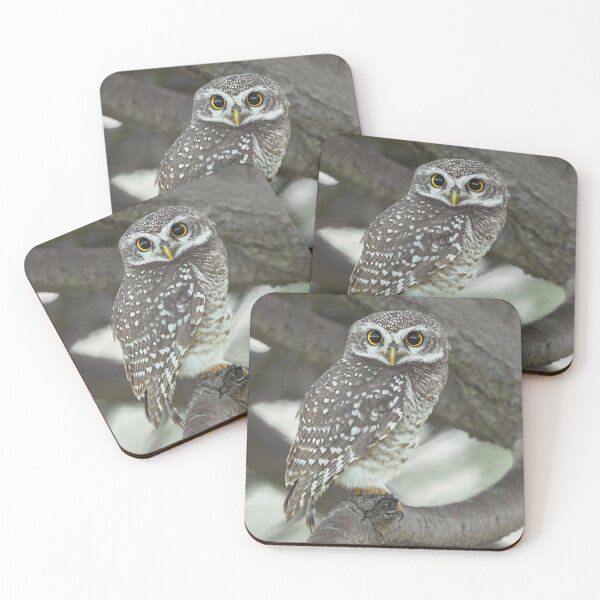 Item preview, Hawk Gin Mare aMountain Guardian designed and sold by dishcutnes.