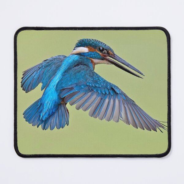 Item preview, Kingfisher Kayak dRiver Flash designed and sold by dishcutnes.