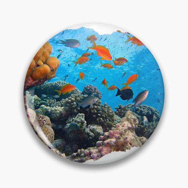Item preview, Queensland Flag Great Barrier Reef designed and sold by goombi-creative.