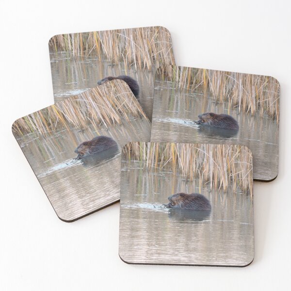 Item preview, A Beaver Swimming designed and sold by BackyardBirder.